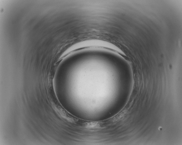 X0000085270088200703161441