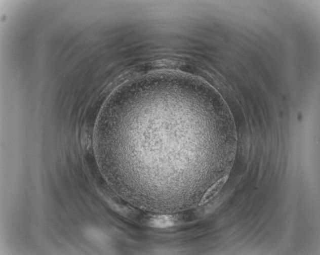 X0000085270091200703161441