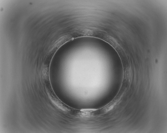 X0000085270092200703161441