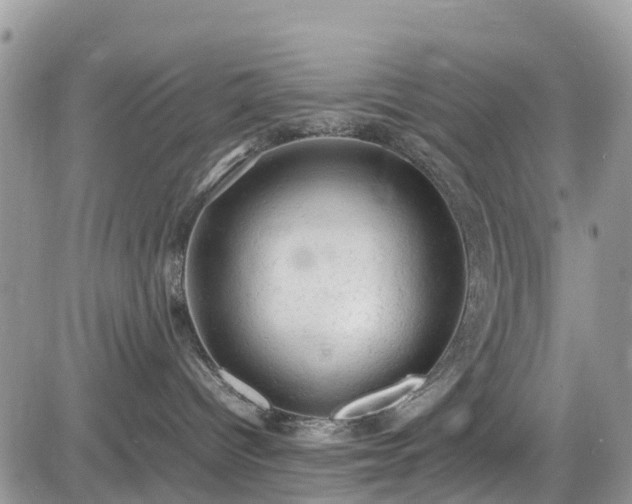 X0000085270096200703161441