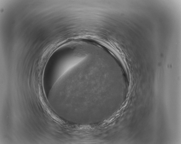 X0000085270097200703161440