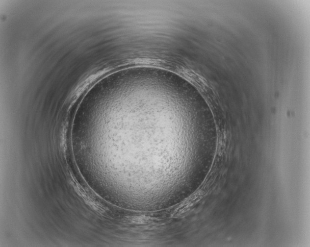 X0000085270098200703161440