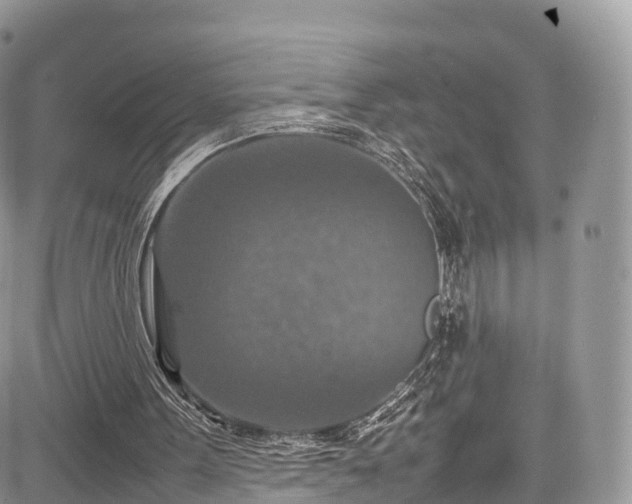 X0000085270099200703161440