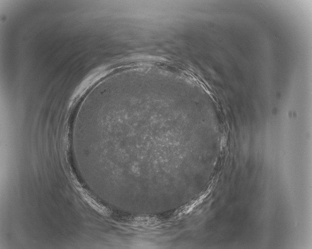 X0000085270101200703161440