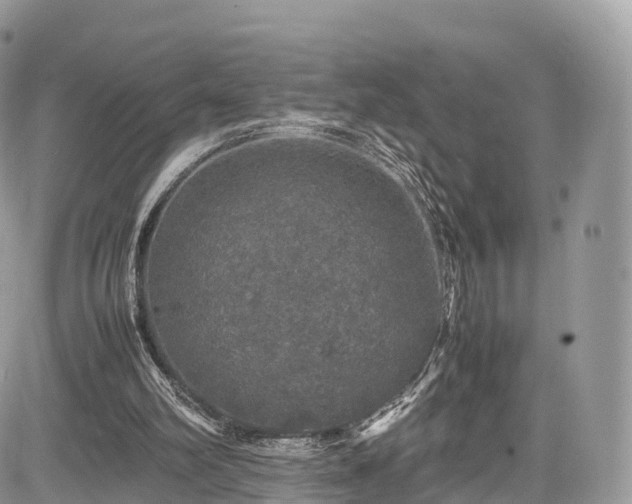 X0000085270102200703161440