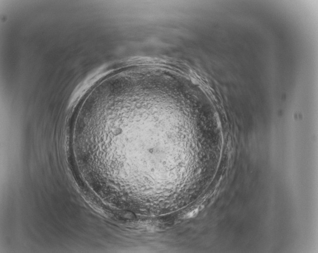 X0000085270103200703161440