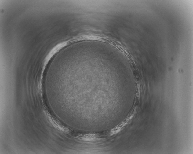 X0000085270104200703161440