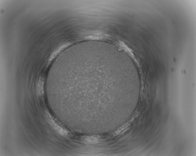 X0000085270106200703161440