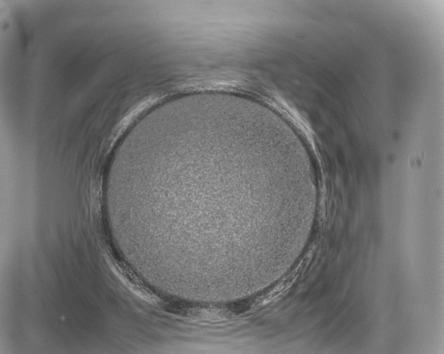 X0000085270107200703161440