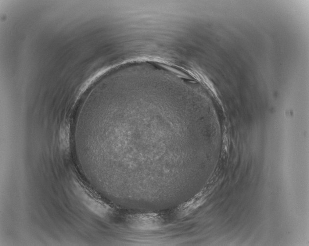 X0000085270108200703161440