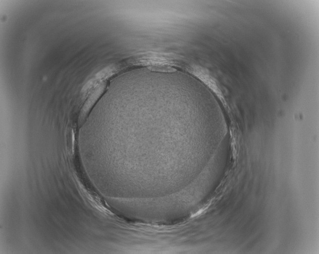 X0000085270109200703161440