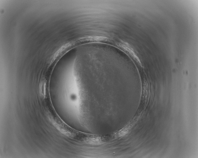 X0000085270110200703161440