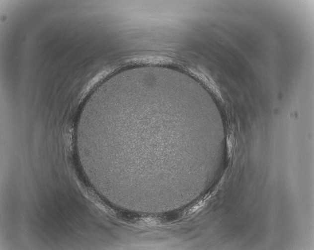 X0000085270111200703161440