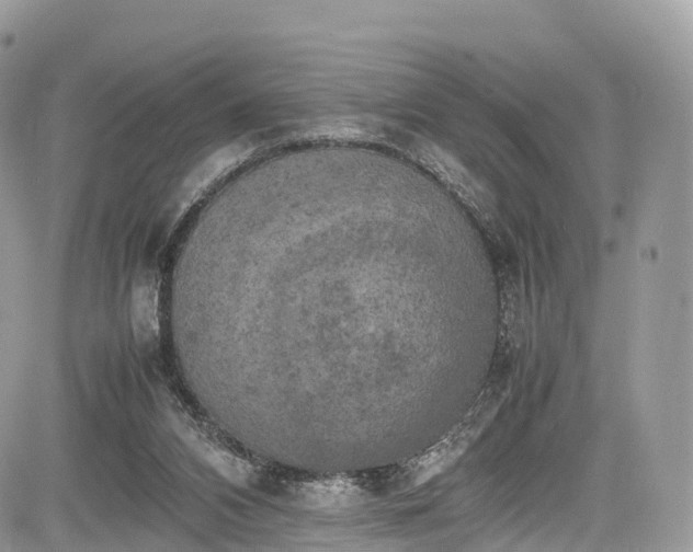 X0000085270112200703161440