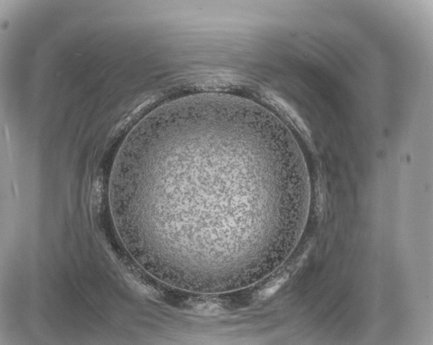 X0000085270113200703161440