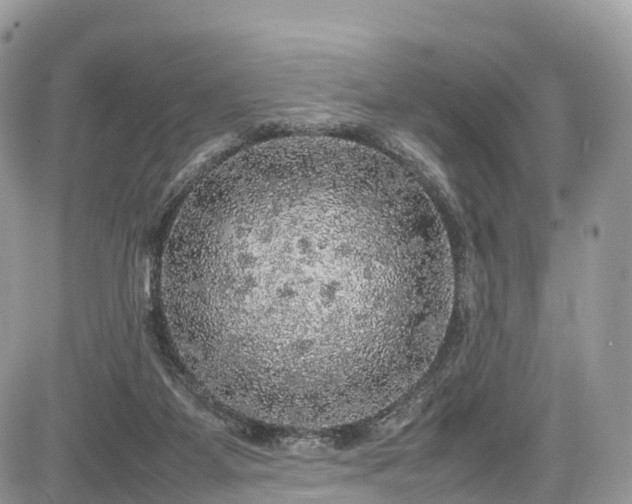 X0000085270115200703161440