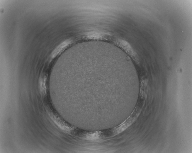 X0000085270116200703161440