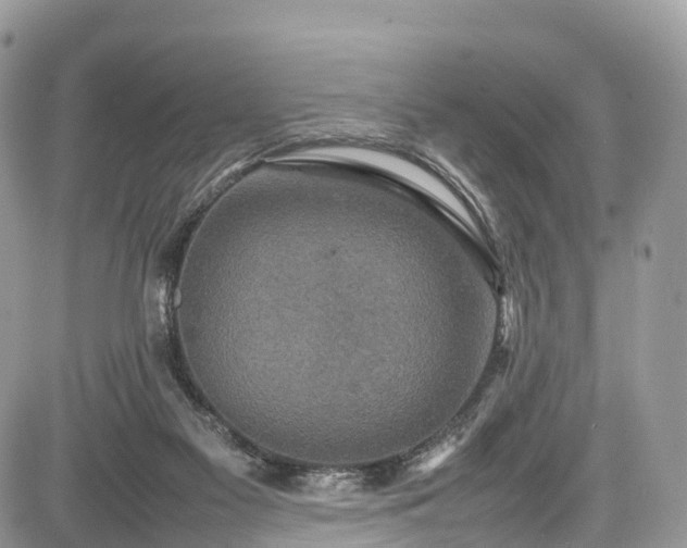 X0000085270117200703161440