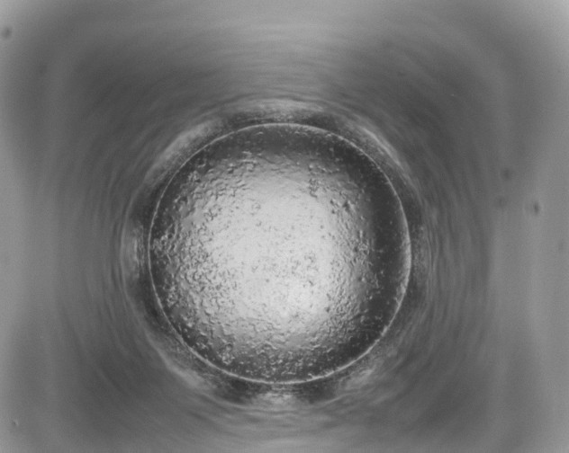 X0000085270119200703161440