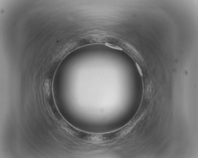 X0000085270121200703161439