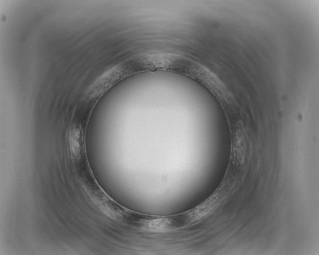 X0000085270122200703161439