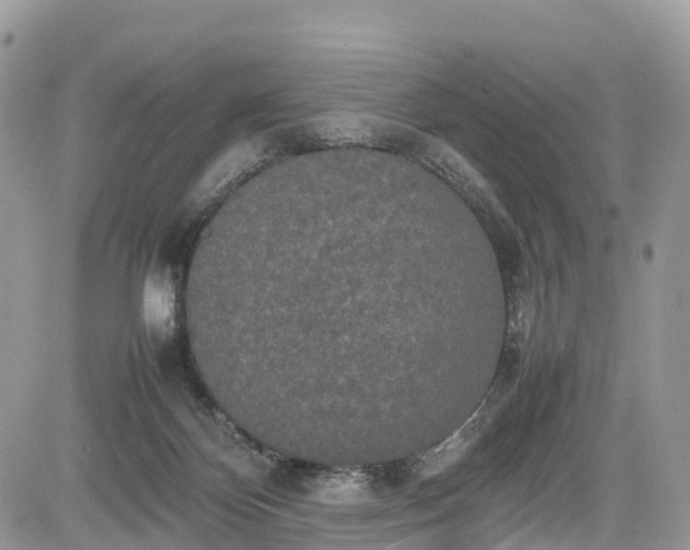 X0000085270124200703161439