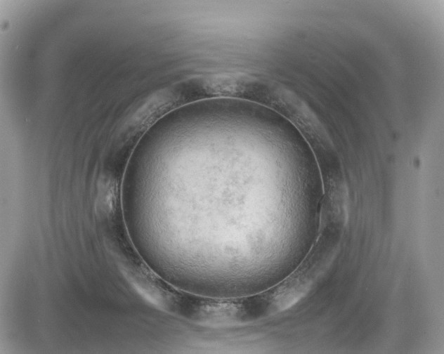 X0000085270125200703161439