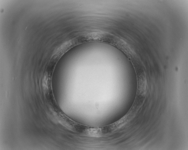 X0000085270126200703161439