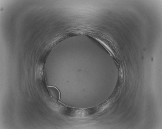 X0000085270127200703161439