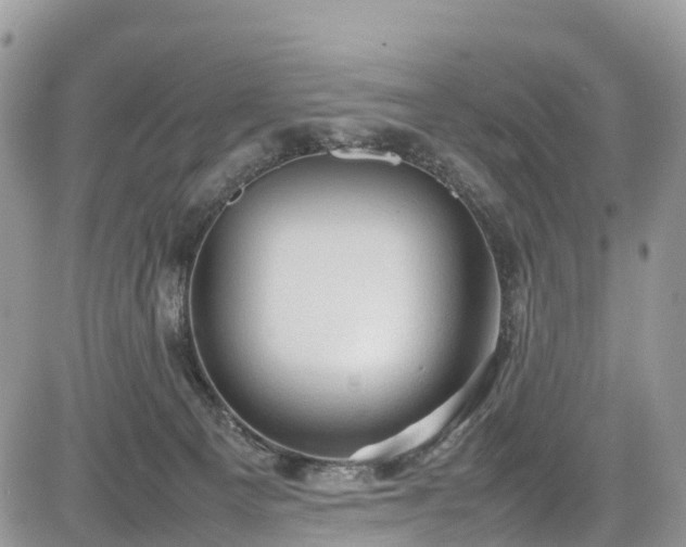 X0000085270129200703161439