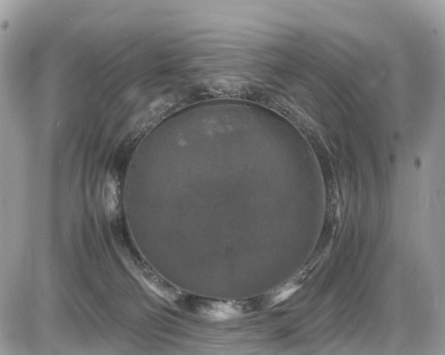 X0000085270130200703161439