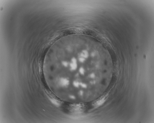 X0000085270131200703161439