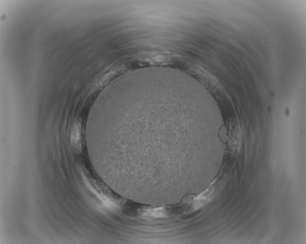 X0000085270132200703161439