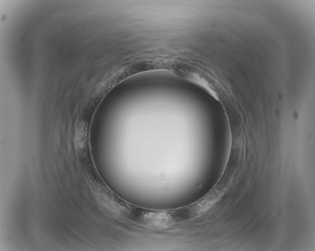 X0000085270133200703161439