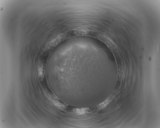 X0000085270134200703161439