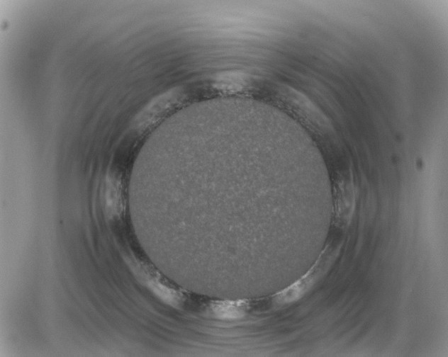 X0000085270136200703161439