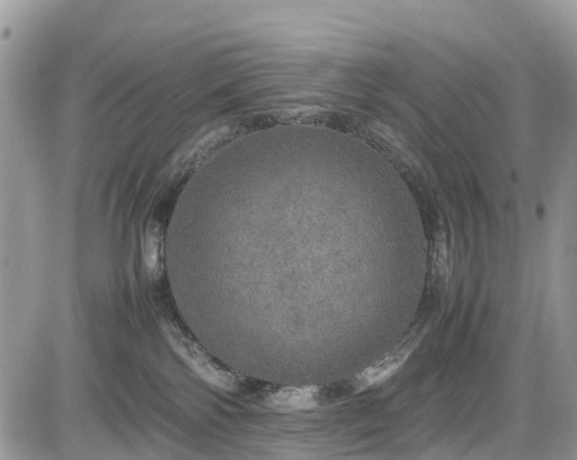 X0000085270138200703161439