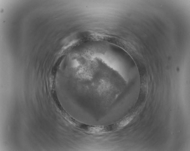 X0000085270139200703161439