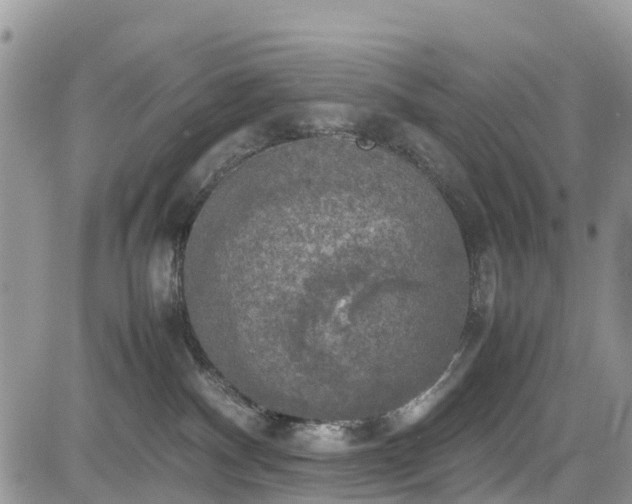 X0000085270140200703161439