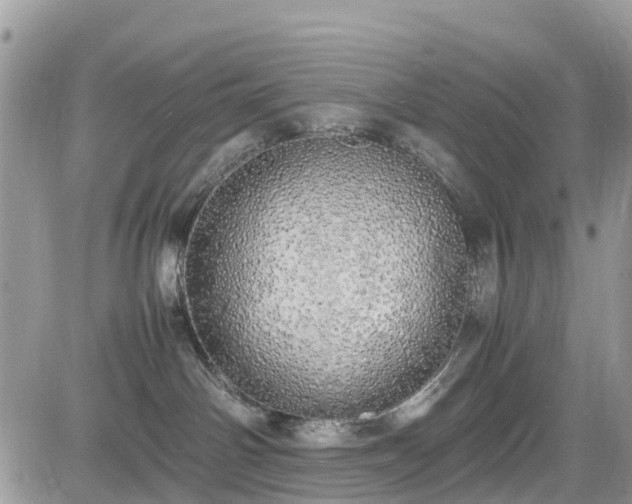 X0000085270142200703161439