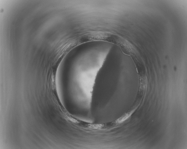 X0000085270143200703161439