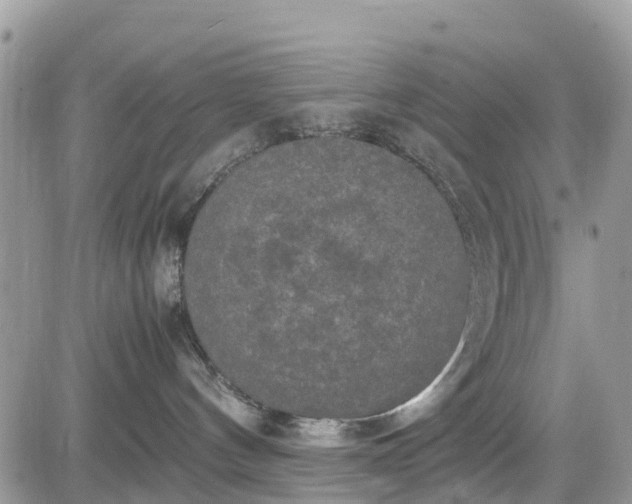 X0000085270144200703161439