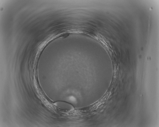 X0000085270145200703161438