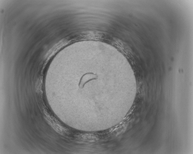 X0000085270146200703161438