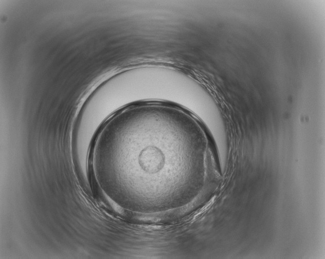 X0000085270148200703161438