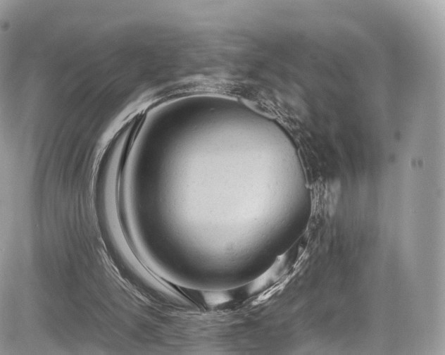 X0000085270150200703161438