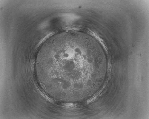 X0000085270153200703161438