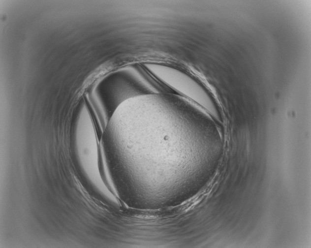 X0000085270154200703161438