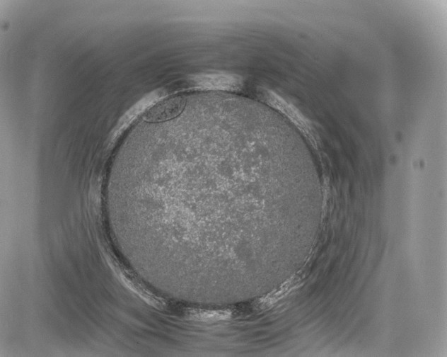 X0000085270155200703161438