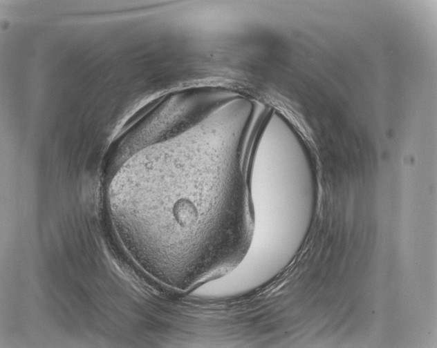 X0000085270156200703161438